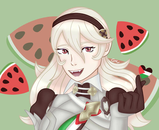 Corrin supports Palestine